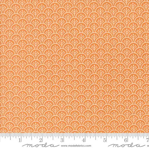 Agatha Road Pumpkin Scallops Blenders 44"/45" Fabric Per Yard