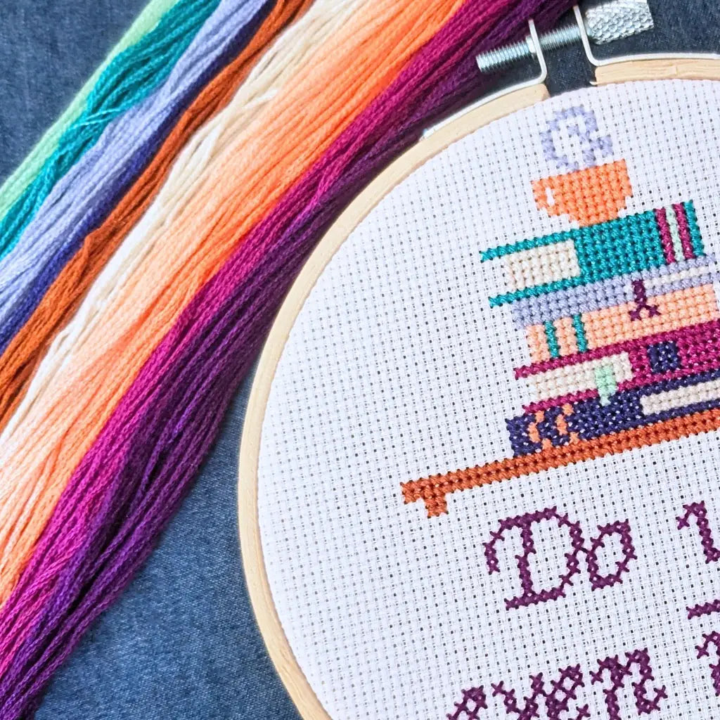 Do You Even Read, Bro? Snarky Bookworm Cross Stitch Kit by Room for Calm