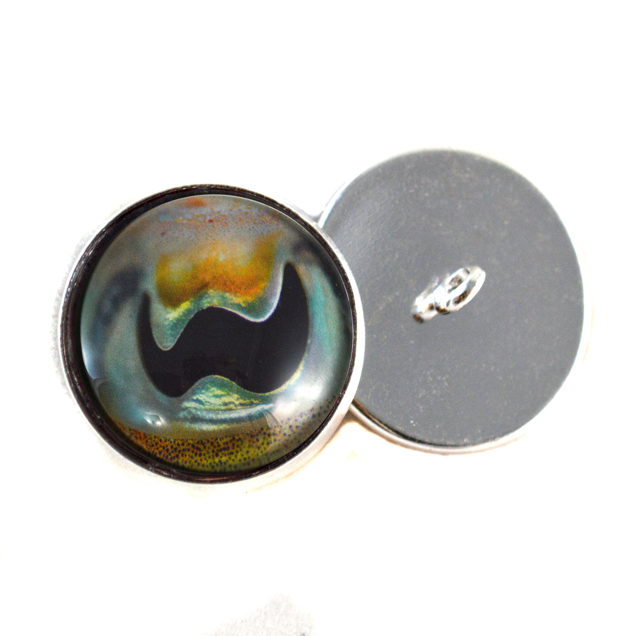 Cuttlefish Sew-On Button Glass Eyes