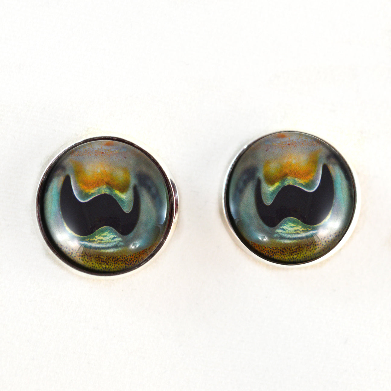 Cuttlefish Sew-On Button Glass Eyes