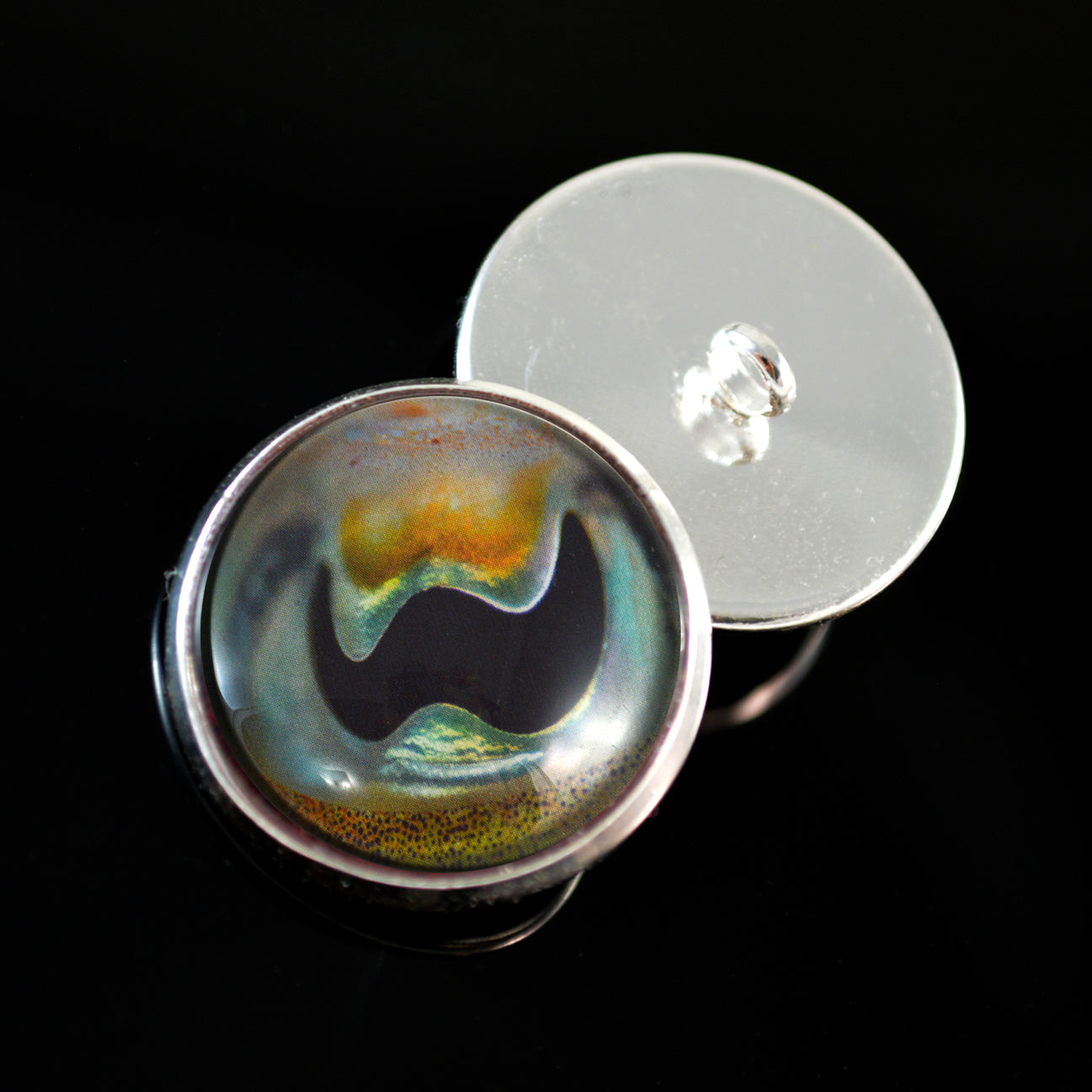 Cuttlefish Sew-On Button Glass Eyes