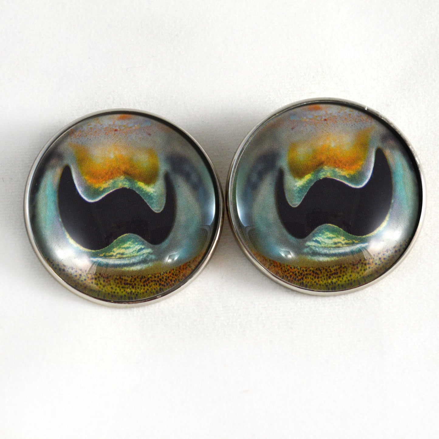 Cuttlefish Sew-On Button Glass Eyes