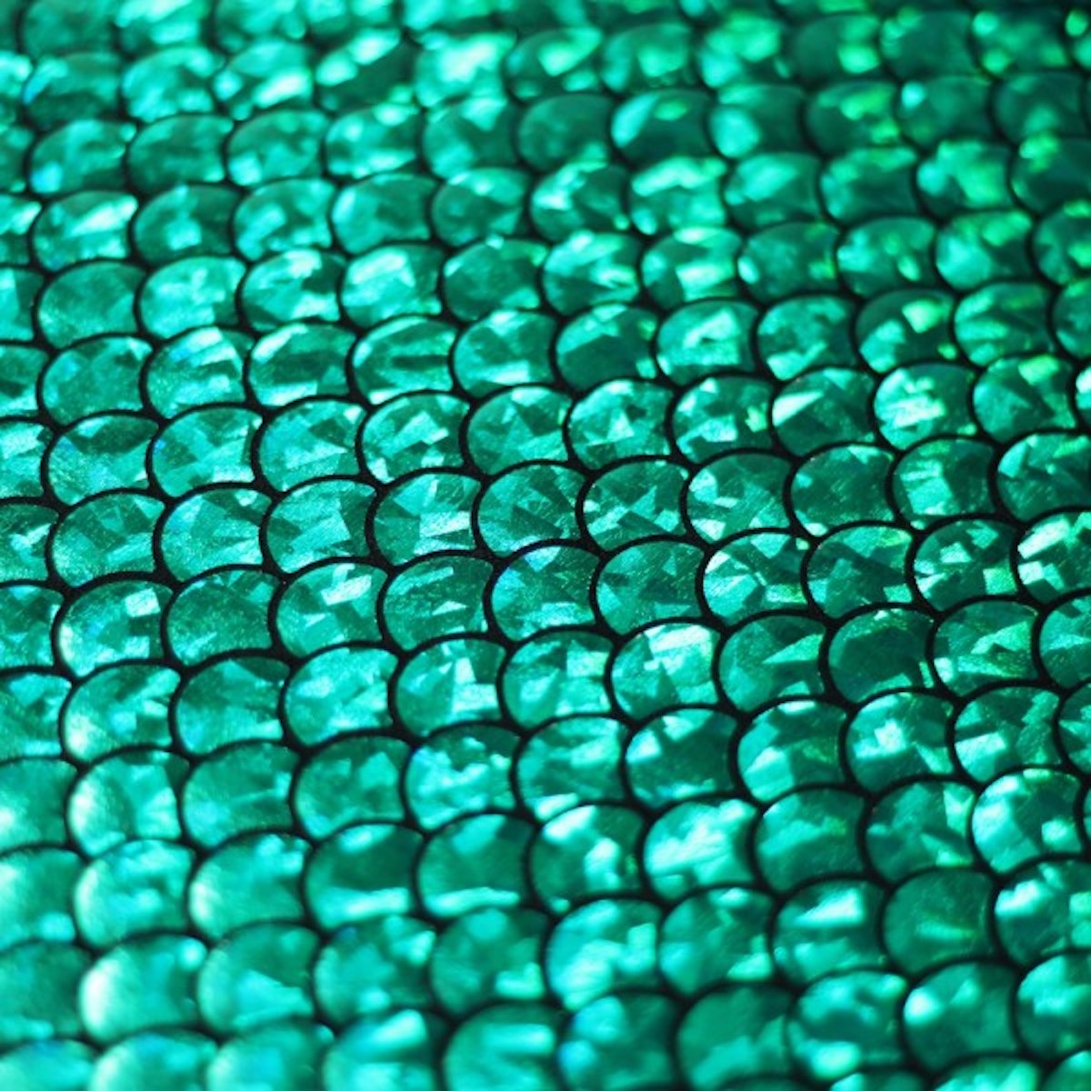 Mermaid Scale Spandex Fabric