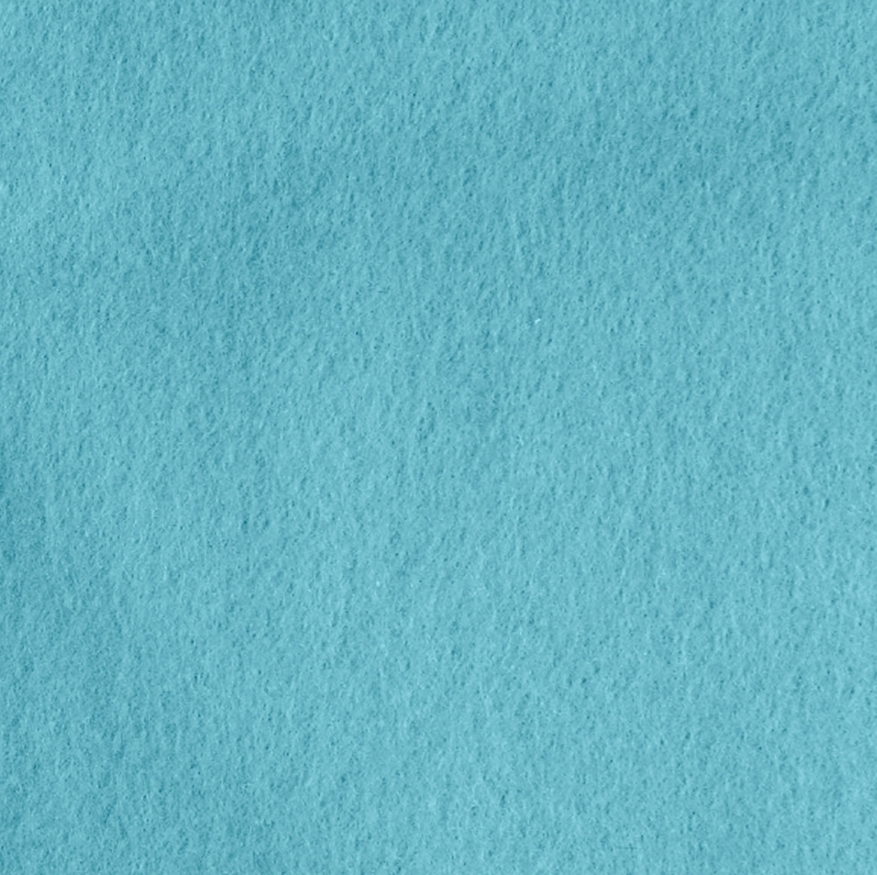 FabricLA Acrylic Felt Fabric - Precut for Art, Craft, DIY Projects - Single Pack