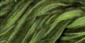 Cotton Quilting Thread Variegated 3000yd Olive Hues