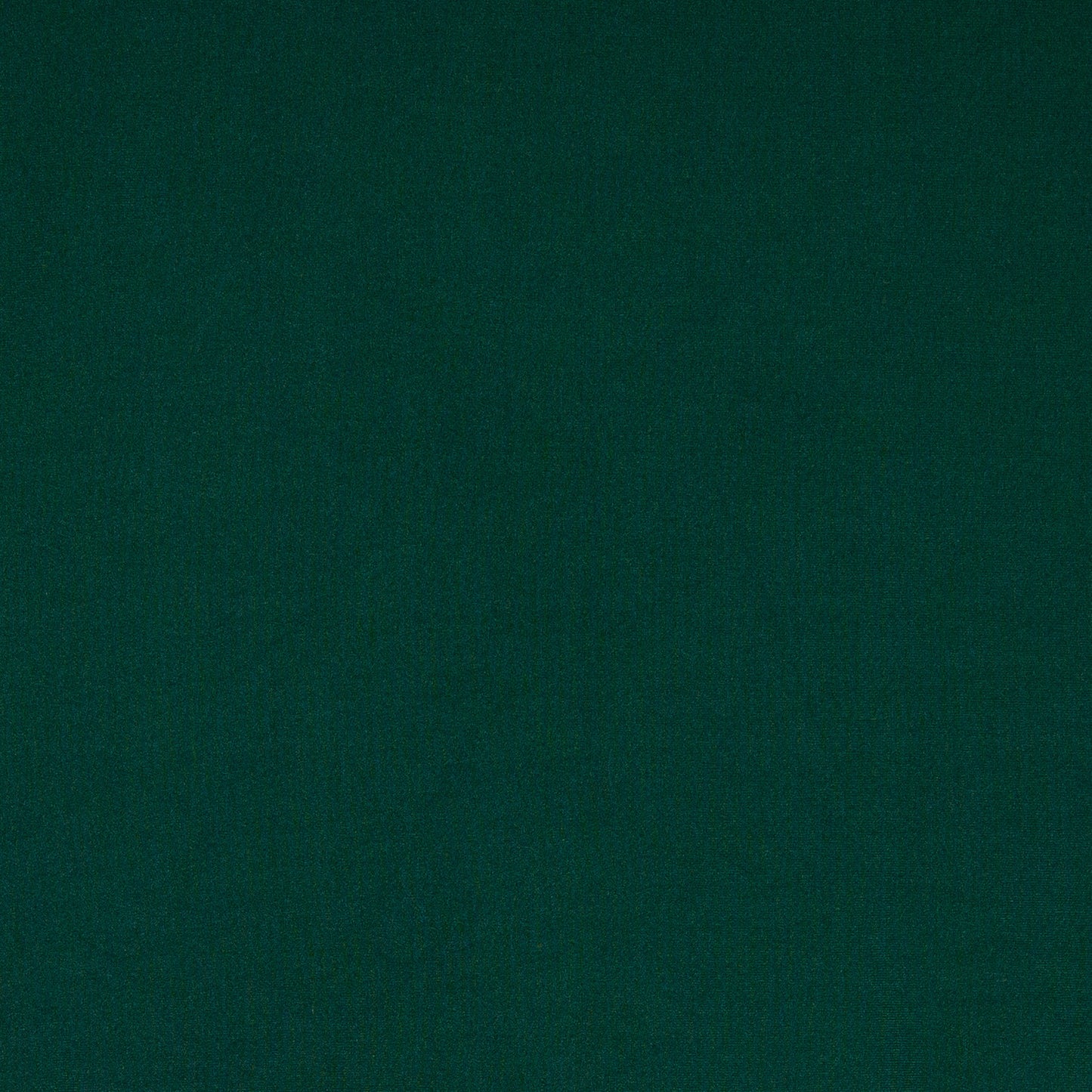 FabricLA DTY Double Brushed Polyester Spandex Knit Fabric | Hunter Green