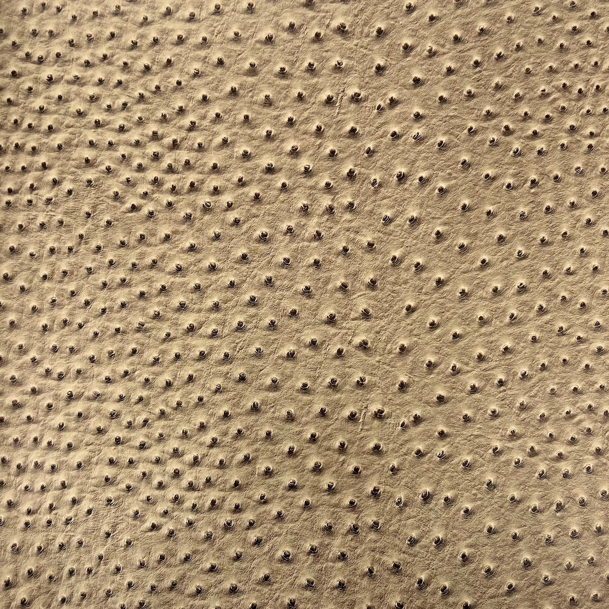 Saratoga Ostrich Faux Leather Vinyl Fabric