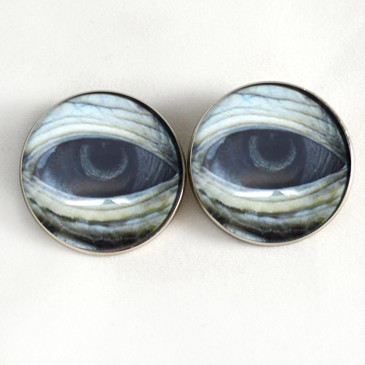 Lidded Green Sea Turtle Sew-On Button Glass Eyes