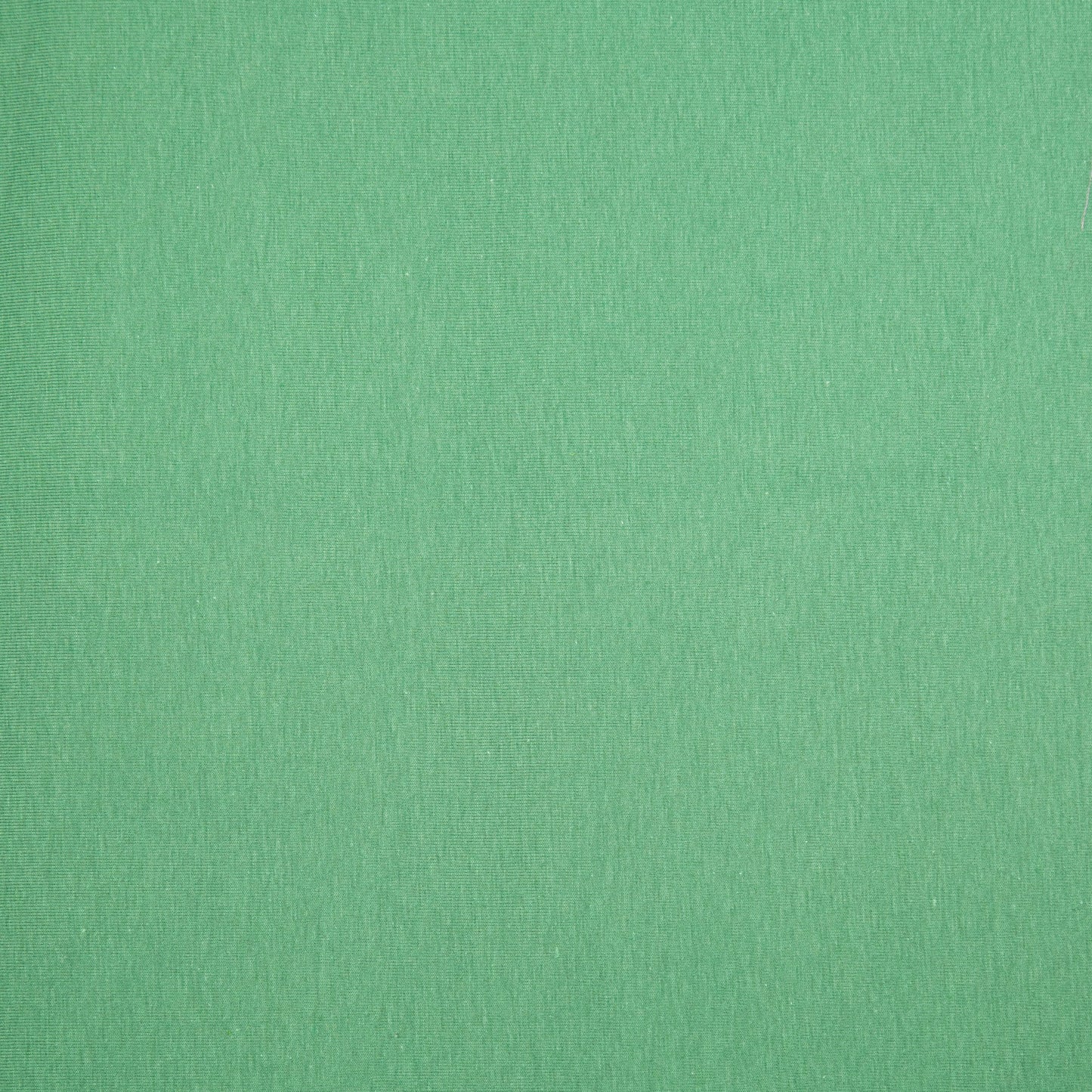 FabricLA 10 oz Cotton Spandex Jersey Knit Fabric – 4-Way Stretch | Sage