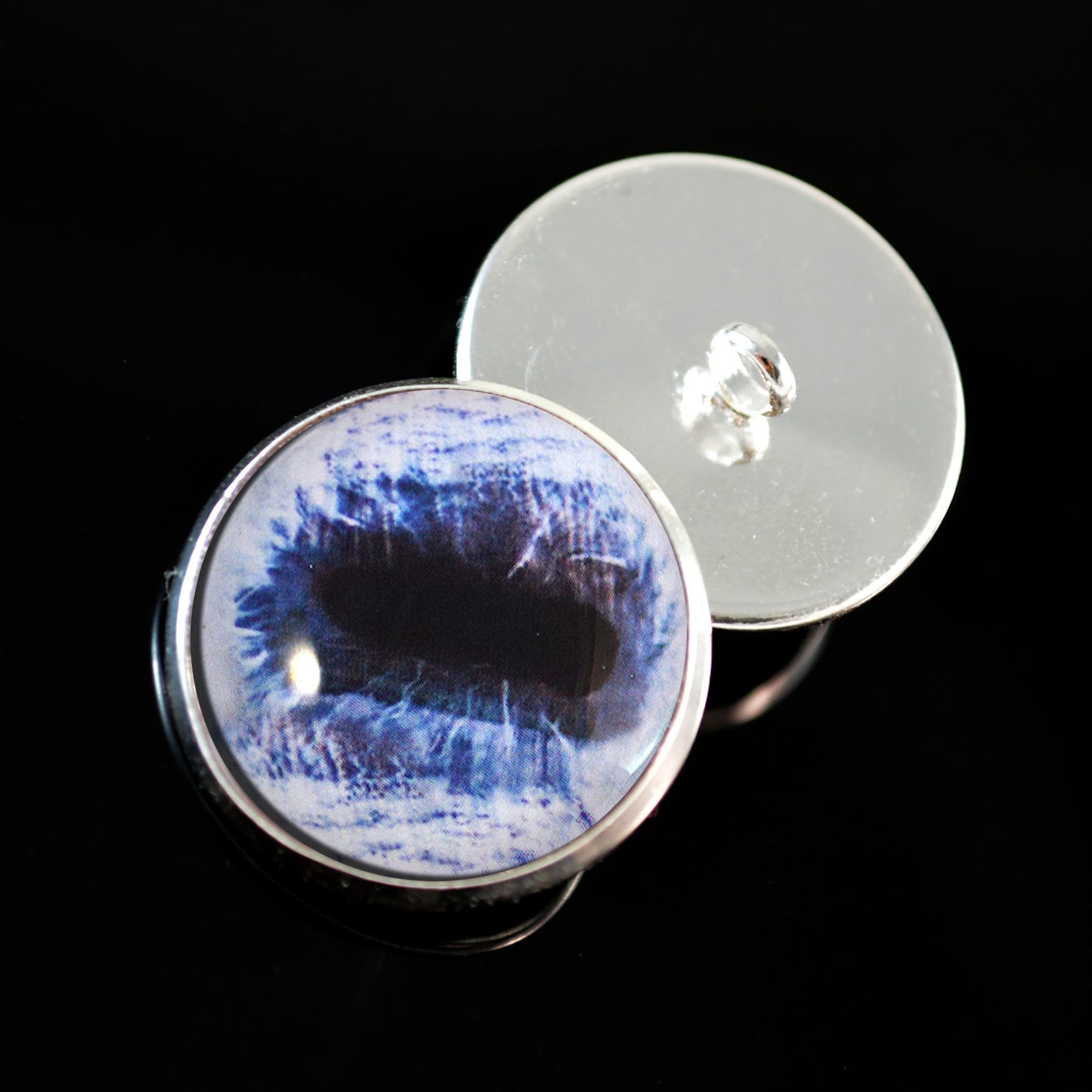 Blue Horse Sew-On Button Glass Eyes