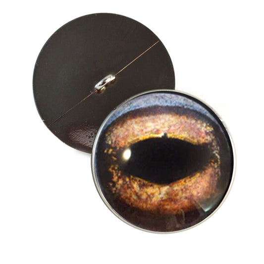 Brown Toad Frog Amphibian Sew-On Button Glass Eyes