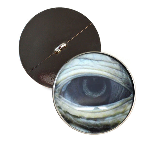Lidded Green Sea Turtle Sew-On Button Glass Eyes