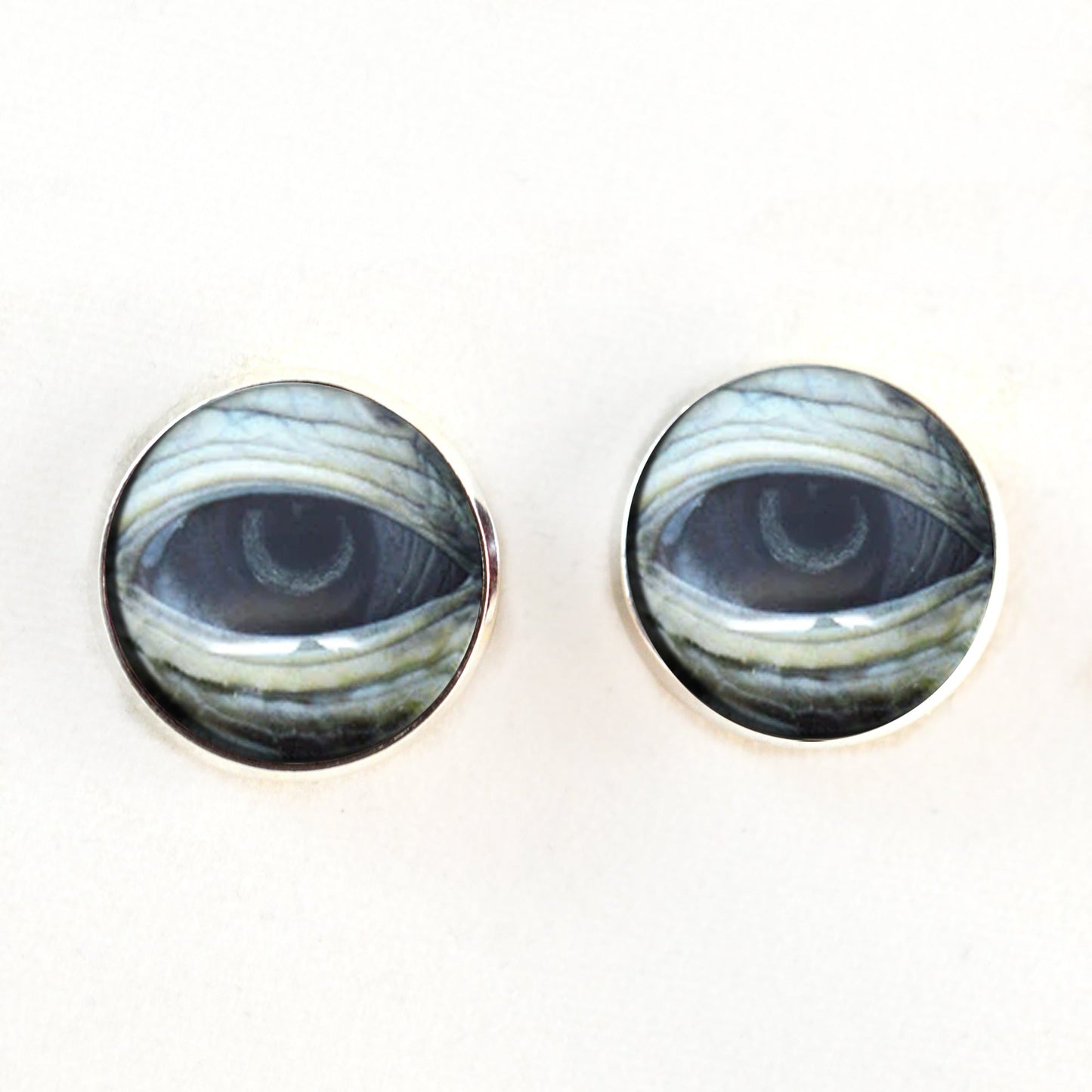 Lidded Green Sea Turtle Sew-On Button Glass Eyes