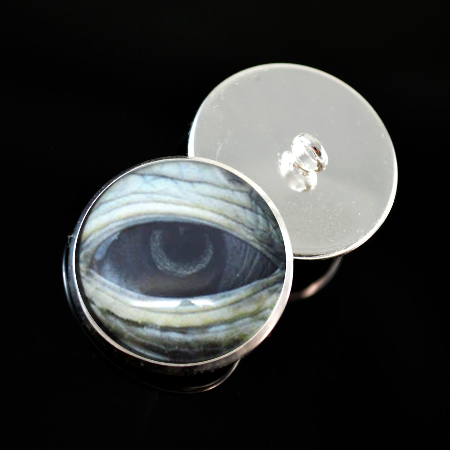 Lidded Green Sea Turtle Sew-On Button Glass Eyes