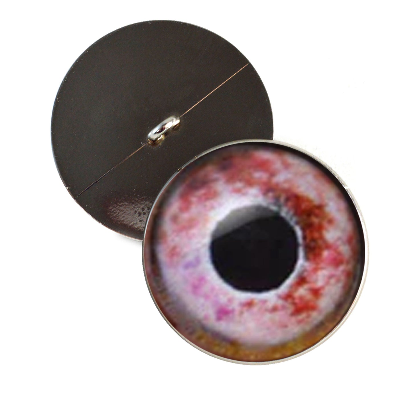 Red Box Turtle Sew-On Button Glass Eyes