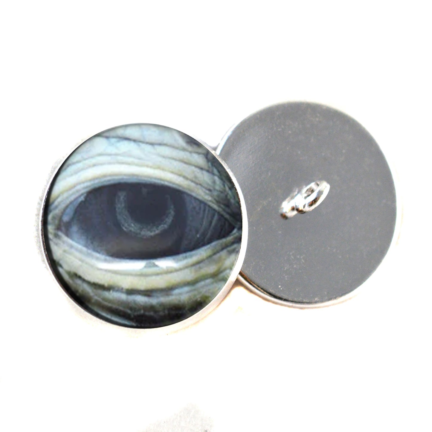 Lidded Green Sea Turtle Sew-On Button Glass Eyes